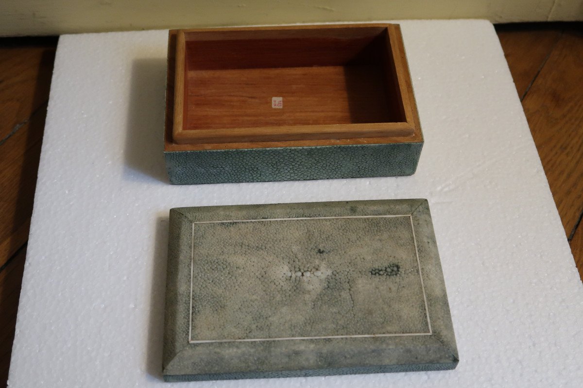 Stingray Box-photo-2