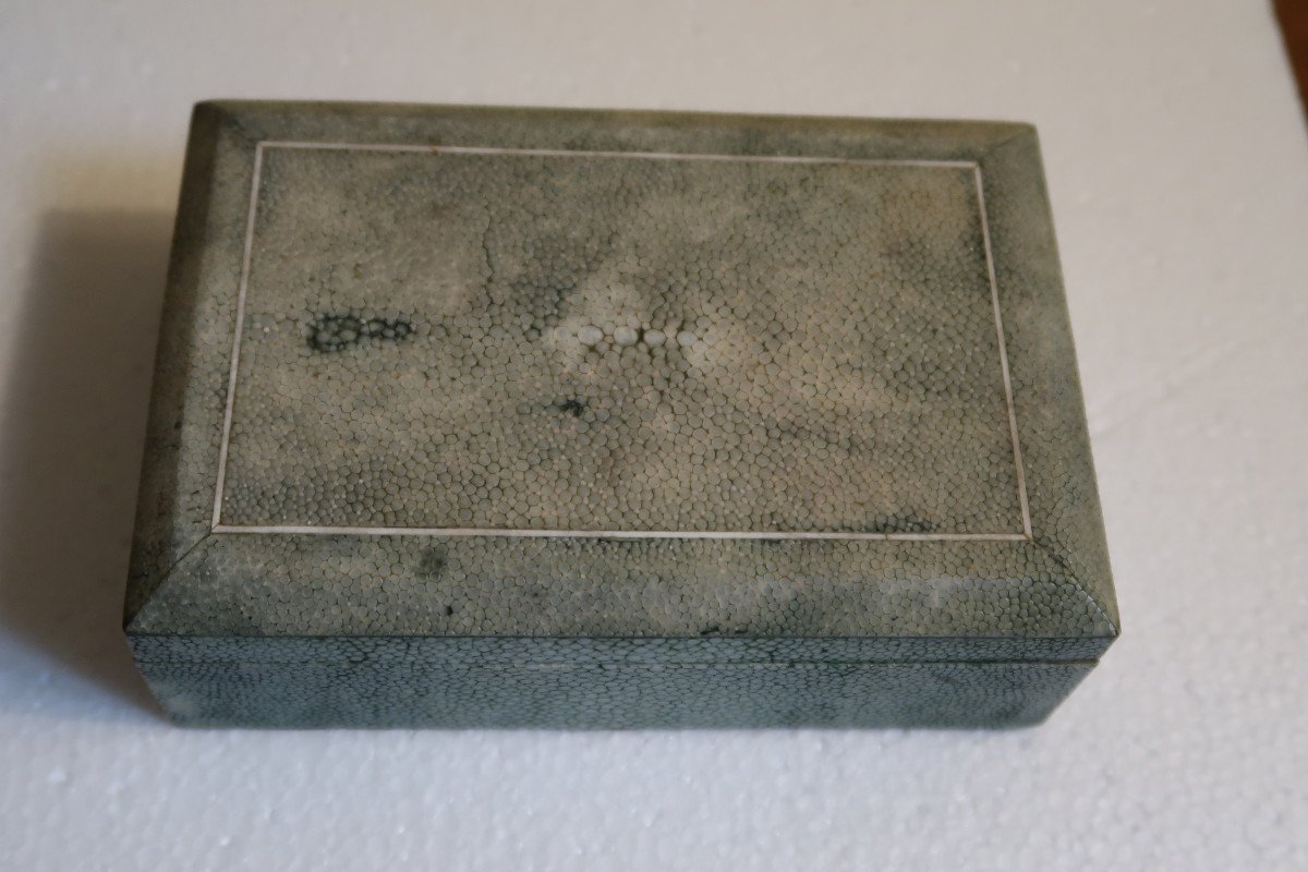 Stingray Box-photo-6