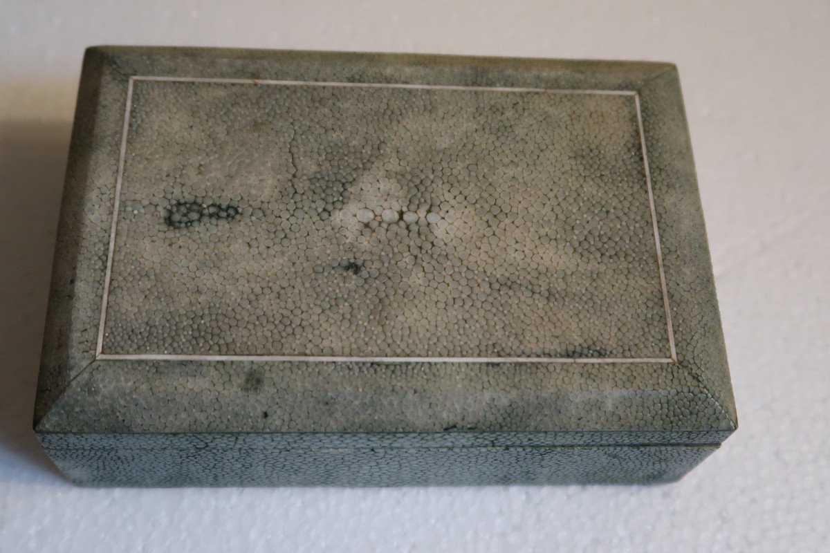 Stingray Box-photo-7