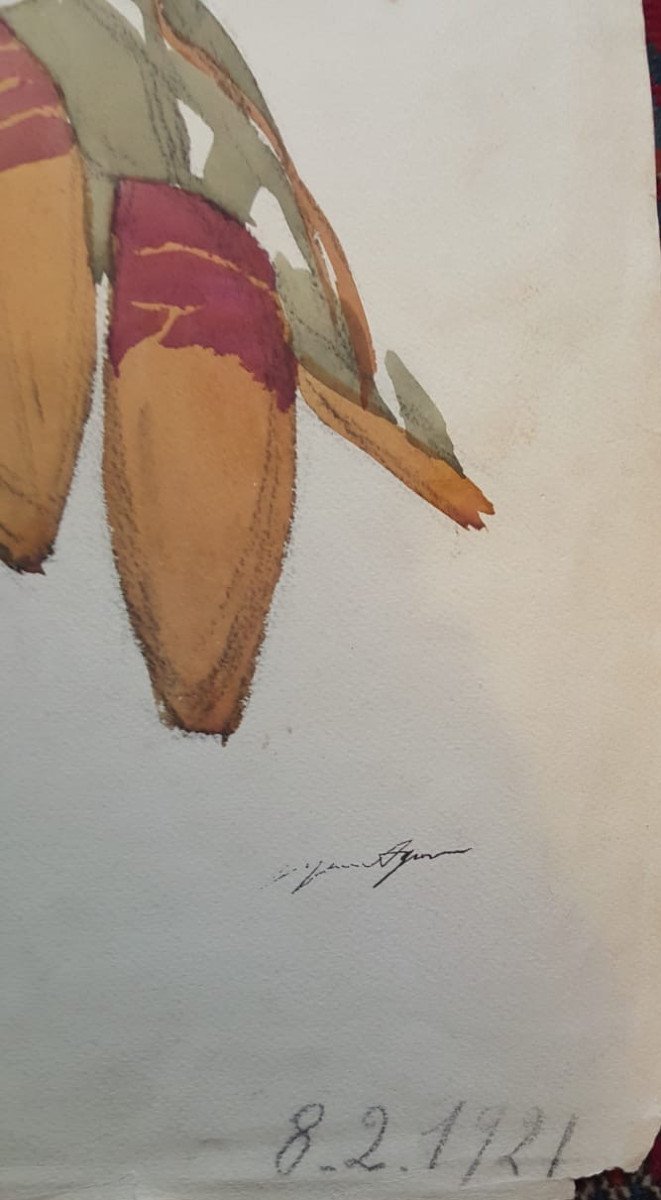 Suzanne Agron, Watercolor, Botanical Study-photo-3