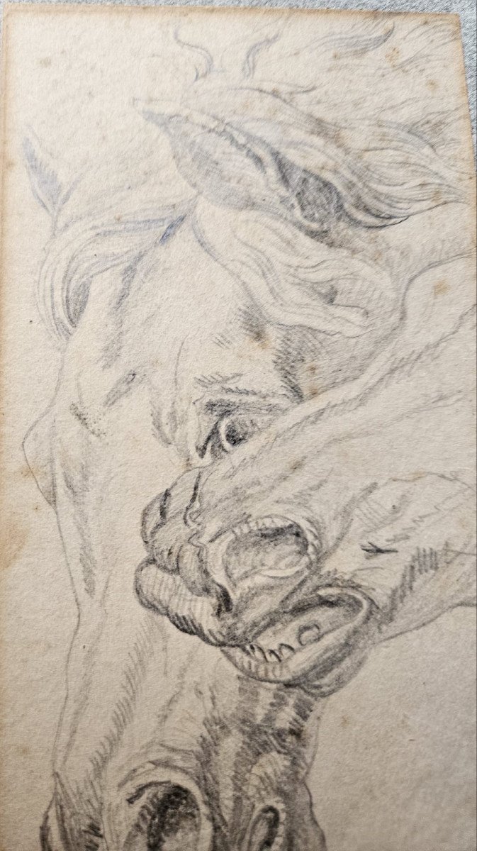 Etude de tête de cheval, crayon d'Eugène Fromentin-photo-3