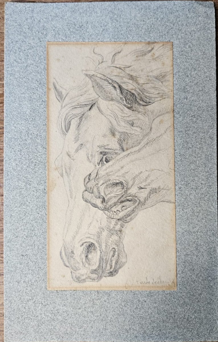 Etude de têtes de chevaux, crayon d'Eugène Fromentin