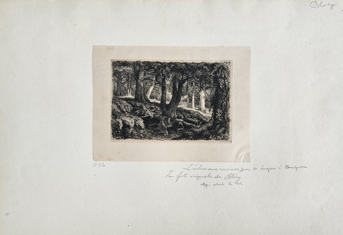 L'arbre aux racines, eau-forte d'Eugène Bléry, 1849-photo-2