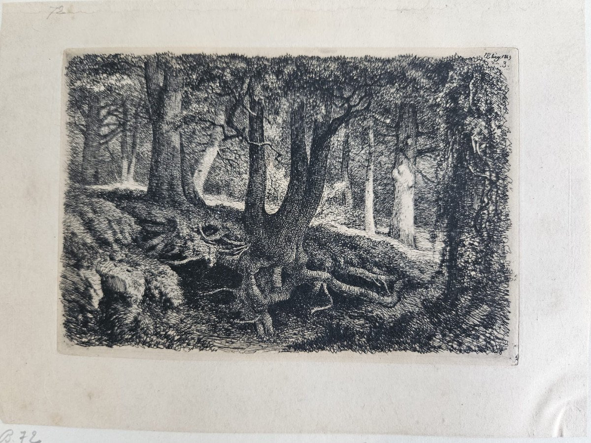 L'arbre aux racines, eau-forte d'Eugène Bléry, 1849