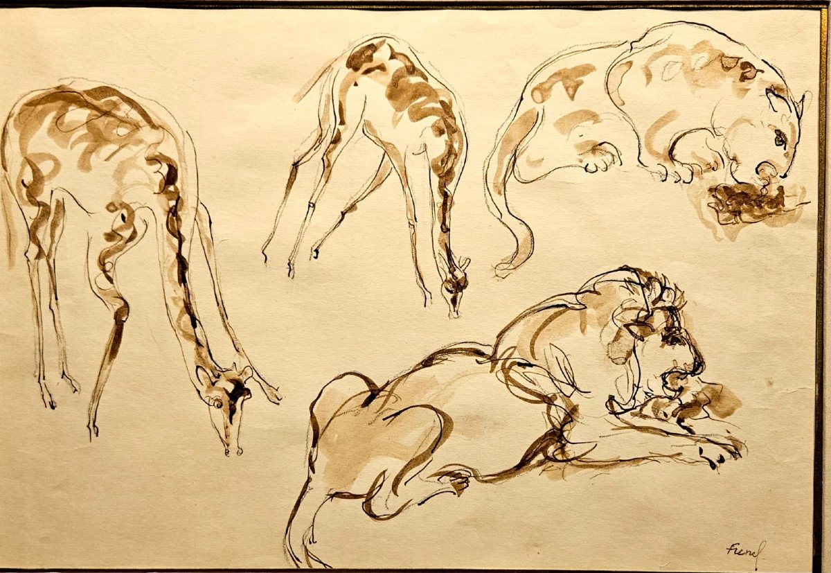 Wash Study By Alexandre Frenel: At The Zoo