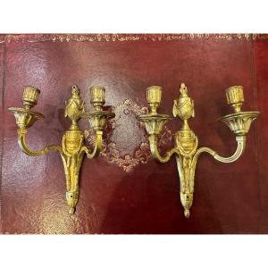 Pair Of Ep Louis XVI Gilded Bronze Sconces 