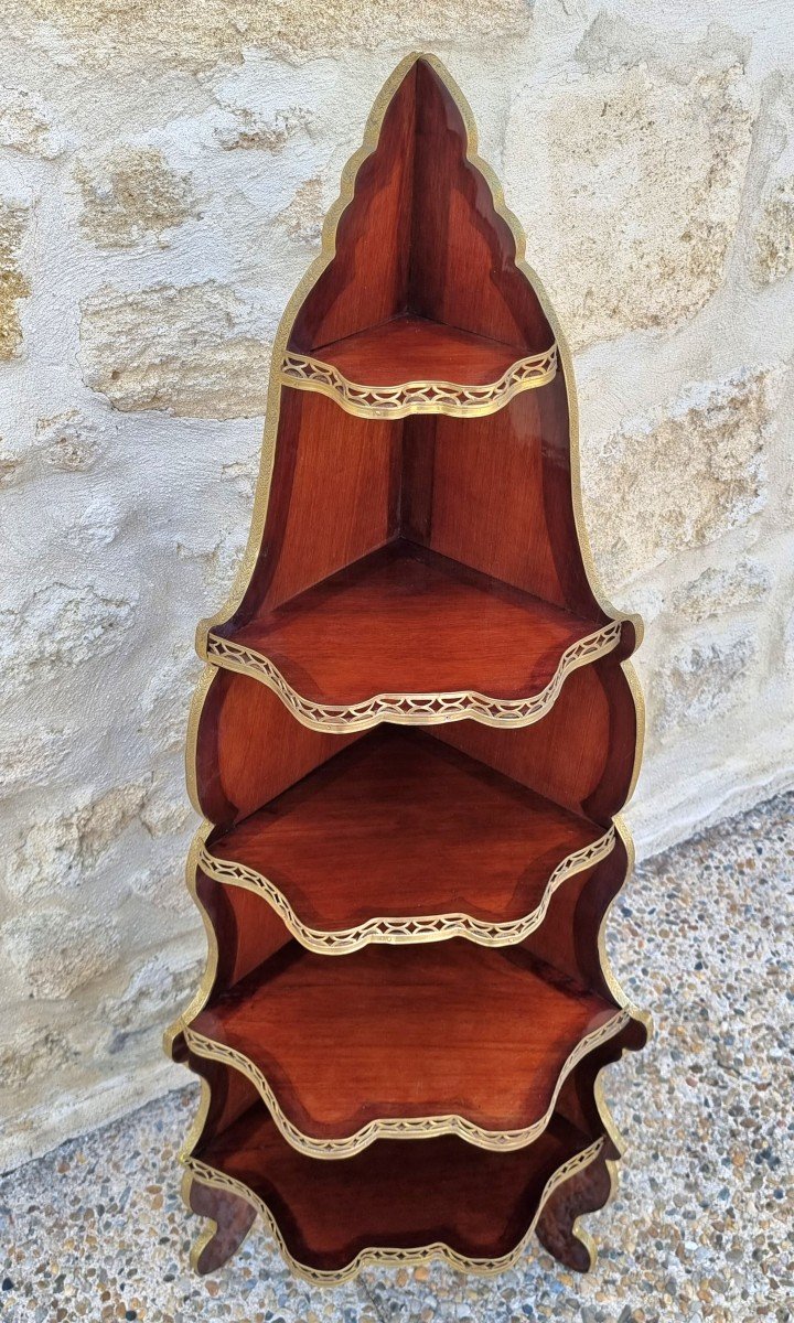 Corner Shelves In Mahogany 19th Century-photo-5