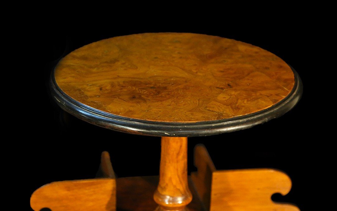 19th Century Burl Walnut Pedestal Bookcase -photo-6