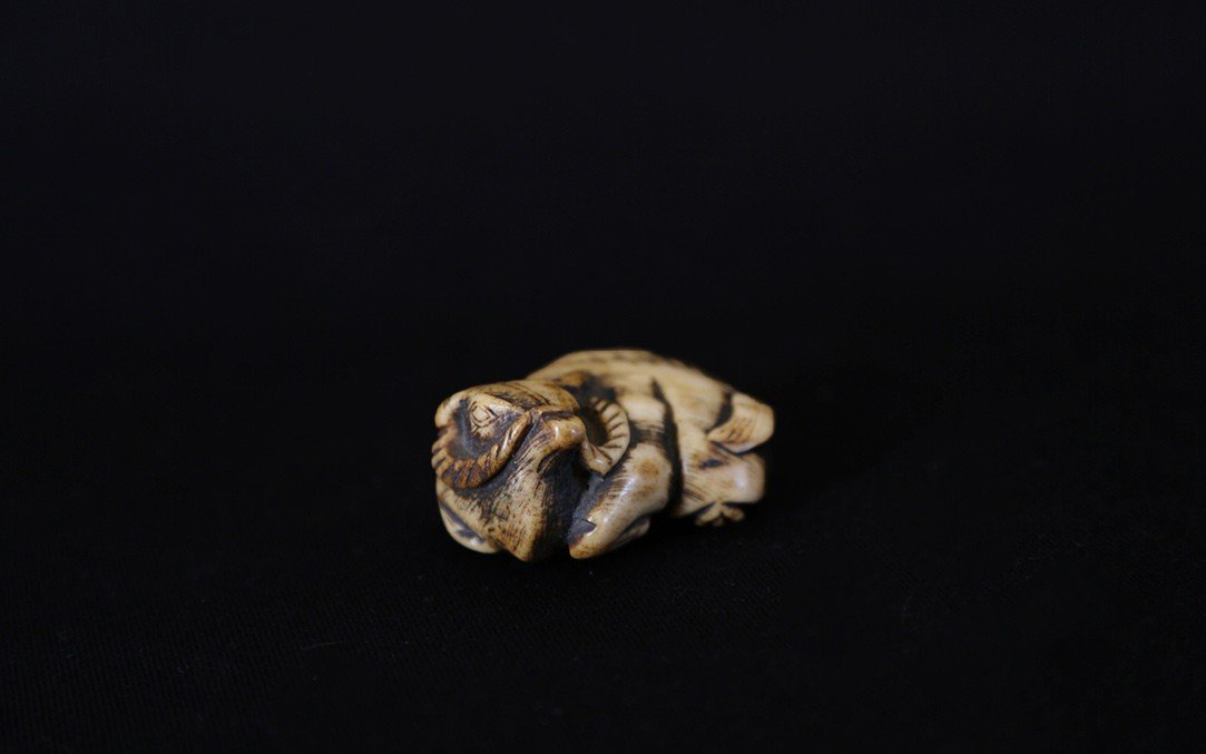 Netsuke, Rice Buffalo, Deer Antlers, 18th Century-photo-2