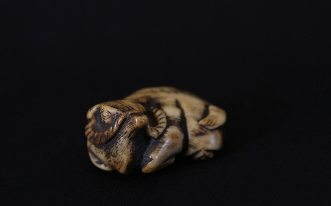 Netsuke, Rice Buffalo, Deer Antlers, 18th Century-photo-3