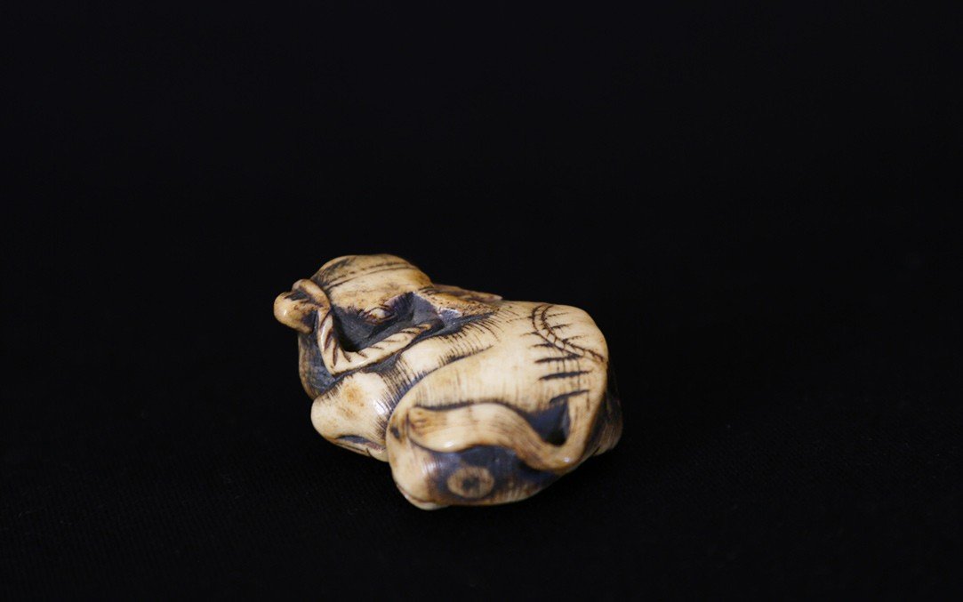 Netsuke, Rice Buffalo, Deer Antlers, 18th Century-photo-4