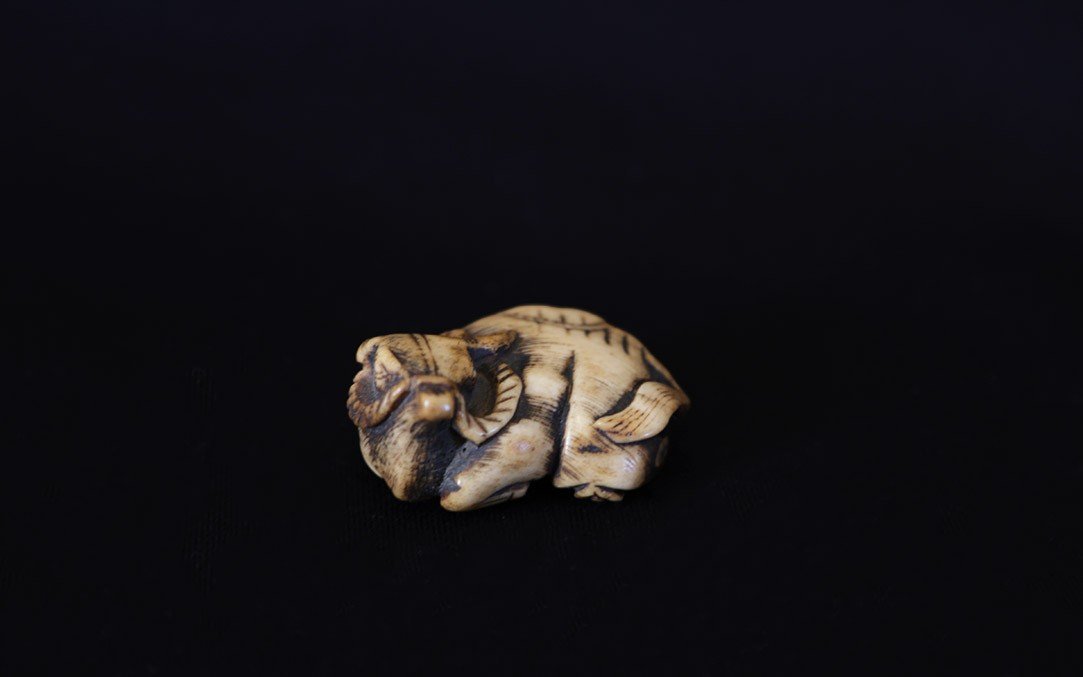 Netsuke, Rice Buffalo, Deer Antlers, 18th Century-photo-2