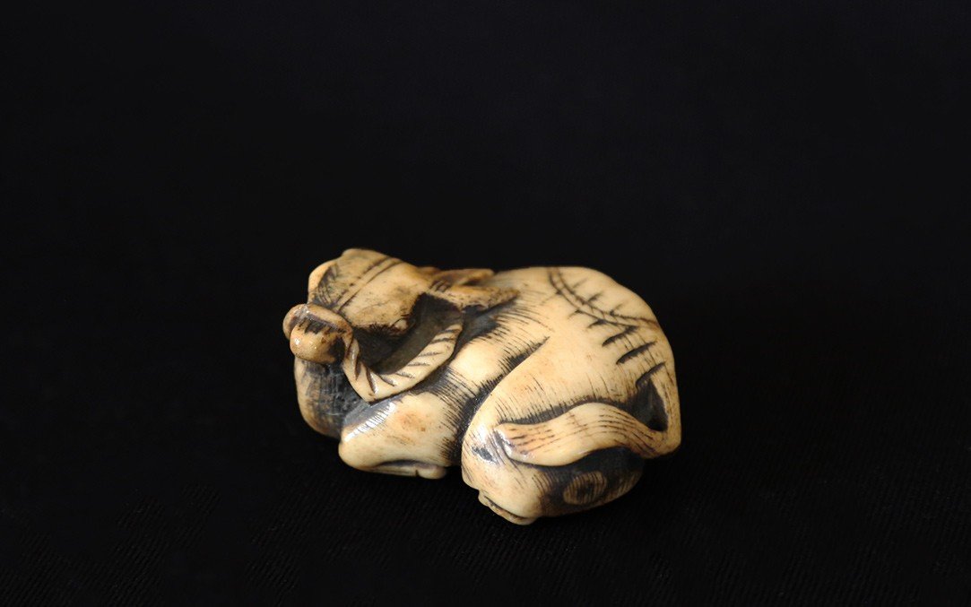 Netsuke, Rice Buffalo, Deer Antlers, 18th Century