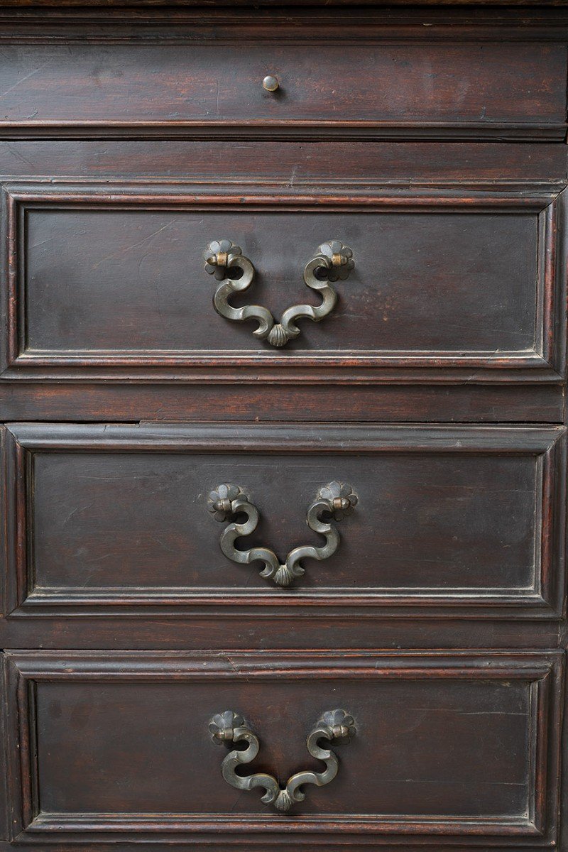 Tuscan Chest Of Drawers/chest Of Drawers Plated In Walnut From The Late 17th Century.-photo-2