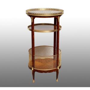 Antique Napoleon III French Coffee Table, 19th Century Period.