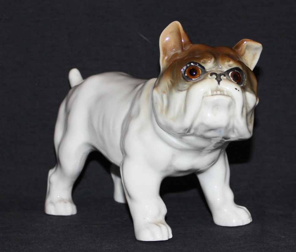 Porcelaine Italienne Bulldogue-photo-2