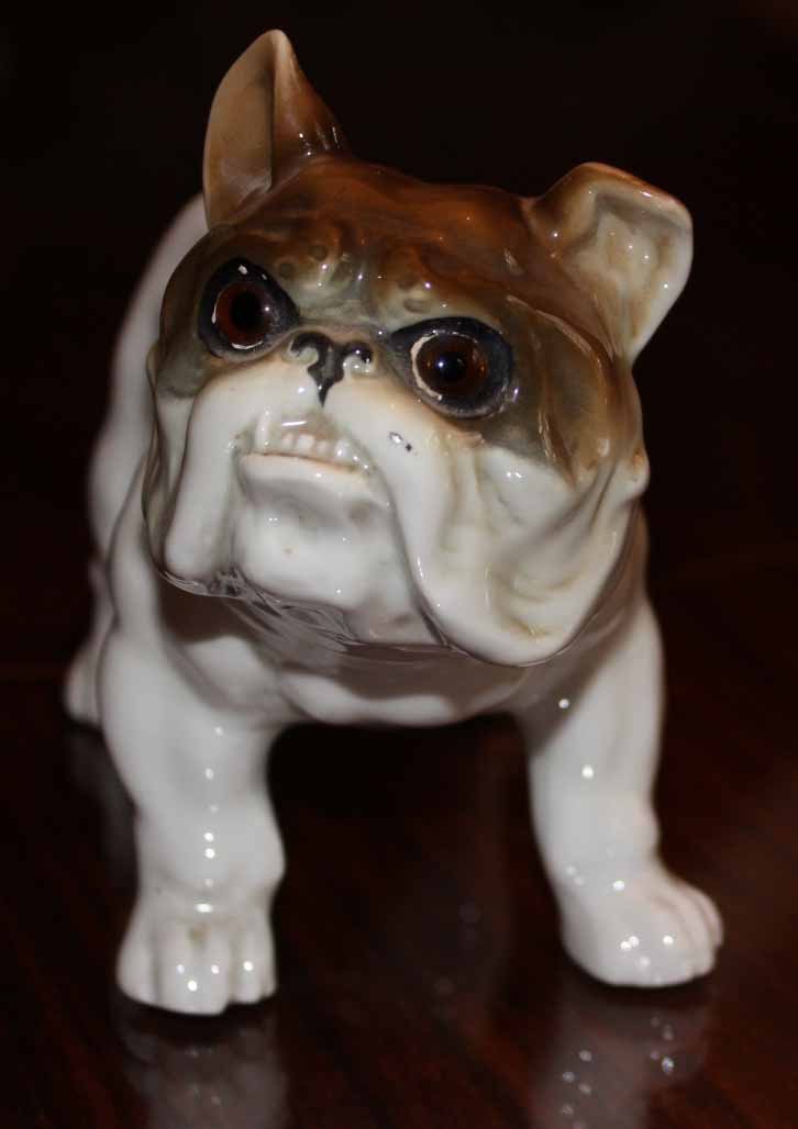 Porcelaine Italienne Bulldogue-photo-3