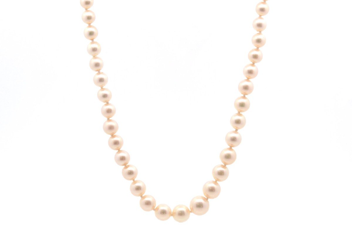 Cultured Pearl Necklace And Clasp In 18k White Gold