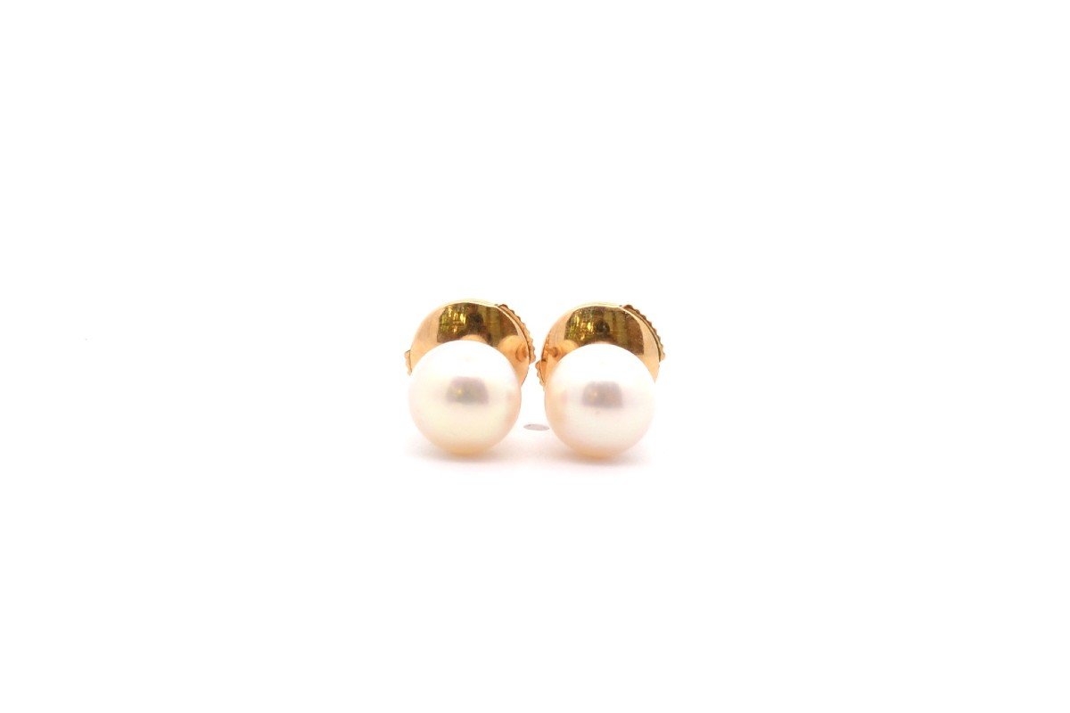 18k Gold Cultured Pearl Earrings