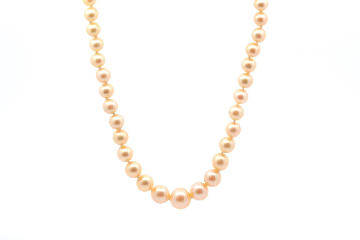 Cultured Pearl Necklace And Yellow Gold Clasp-photo-3