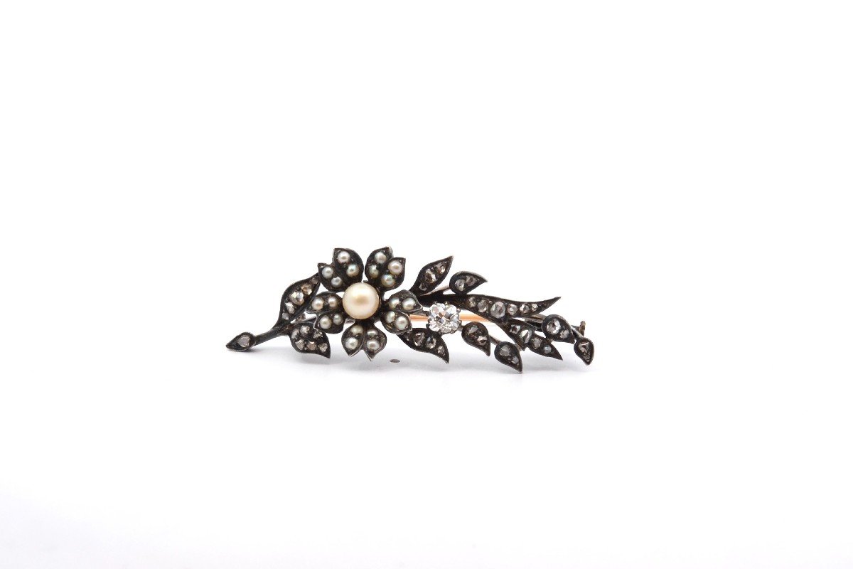 Antique 19th Century Brooch With Fine Pearls And Diamonds-photo-2