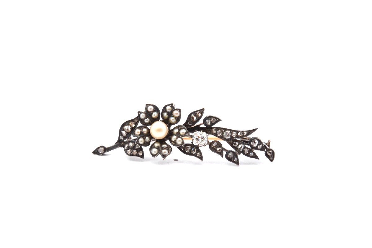 Antique 19th Century Brooch With Fine Pearls And Diamonds