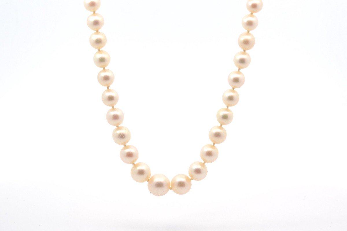 Cultured Pearl Necklace-photo-2