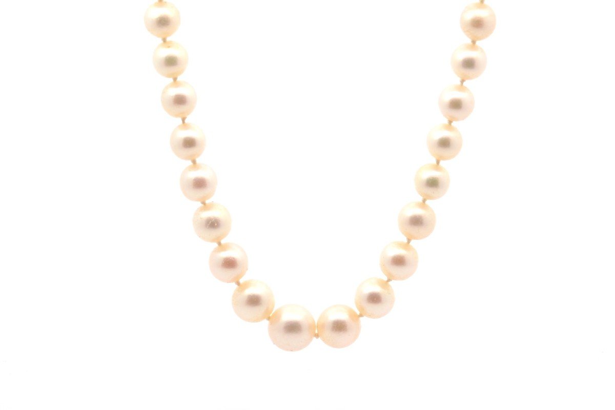 Cultured Pearl Necklace