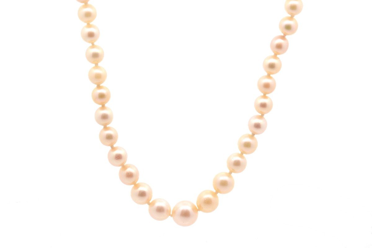 Cultured Pearl Necklace And Gold Clasp