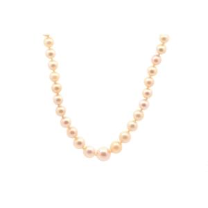 Cultured Pearl Necklace And Gold Clasp