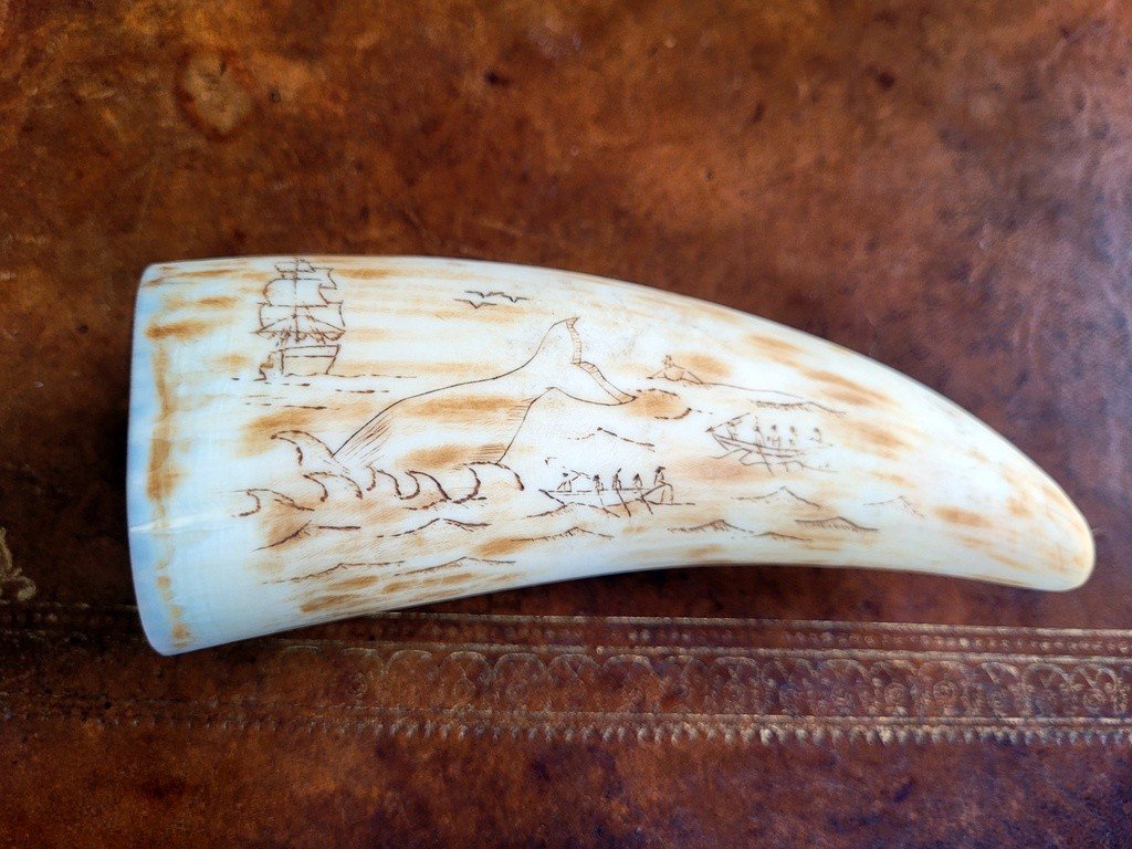 Scrimshaw - Travail de Baleinier  XIXe Si&egrave;cle