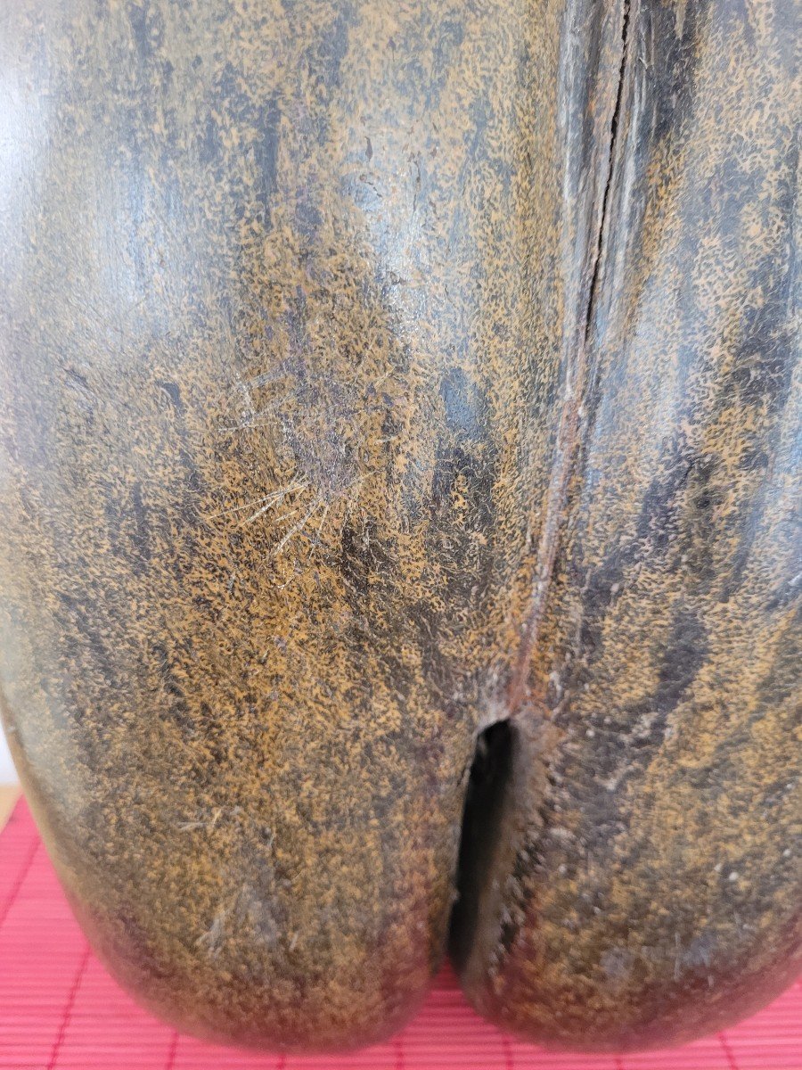 Big Coco Butt -photo-2