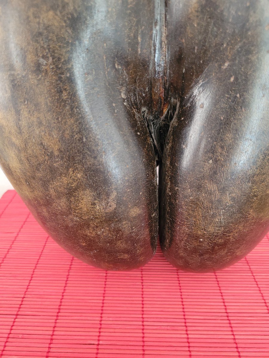 Big Coco Butt -photo-3