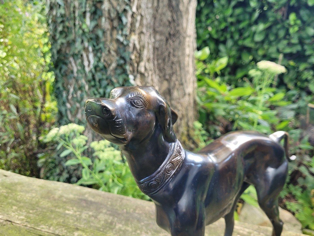  Imposante Sculpture &quot; Chien debout &quot; en Bronze &agrave; Patine brune - 47 cm - XXe Si&egrave;cle-photo-2