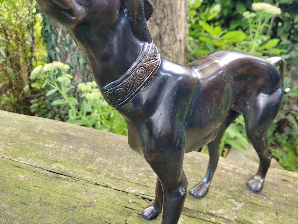  Imposante Sculpture &quot; Chien debout &quot; en Bronze &agrave; Patine brune - 47 cm - XXe Si&egrave;cle-photo-3