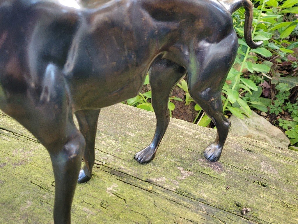  Imposante Sculpture &quot; Chien debout &quot; en Bronze &agrave; Patine brune - 47 cm - XXe Si&egrave;cle-photo-1