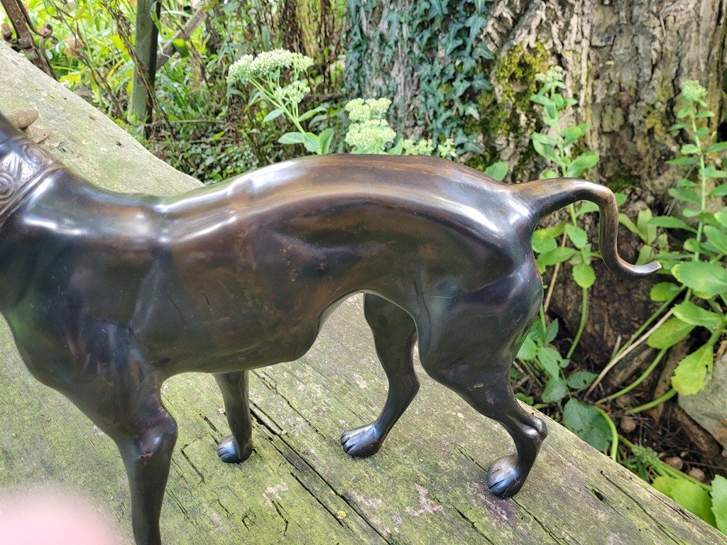  Imposante Sculpture &quot; Chien debout &quot; en Bronze &agrave; Patine brune - 47 cm - XXe Si&egrave;cle-photo-2