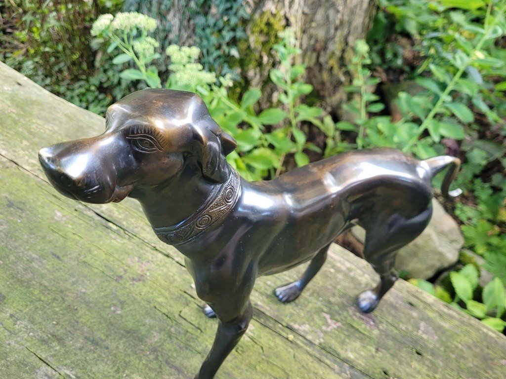  Imposante Sculpture &quot; Chien debout &quot; en Bronze &agrave; Patine brune - 47 cm - XXe Si&egrave;cle-photo-3