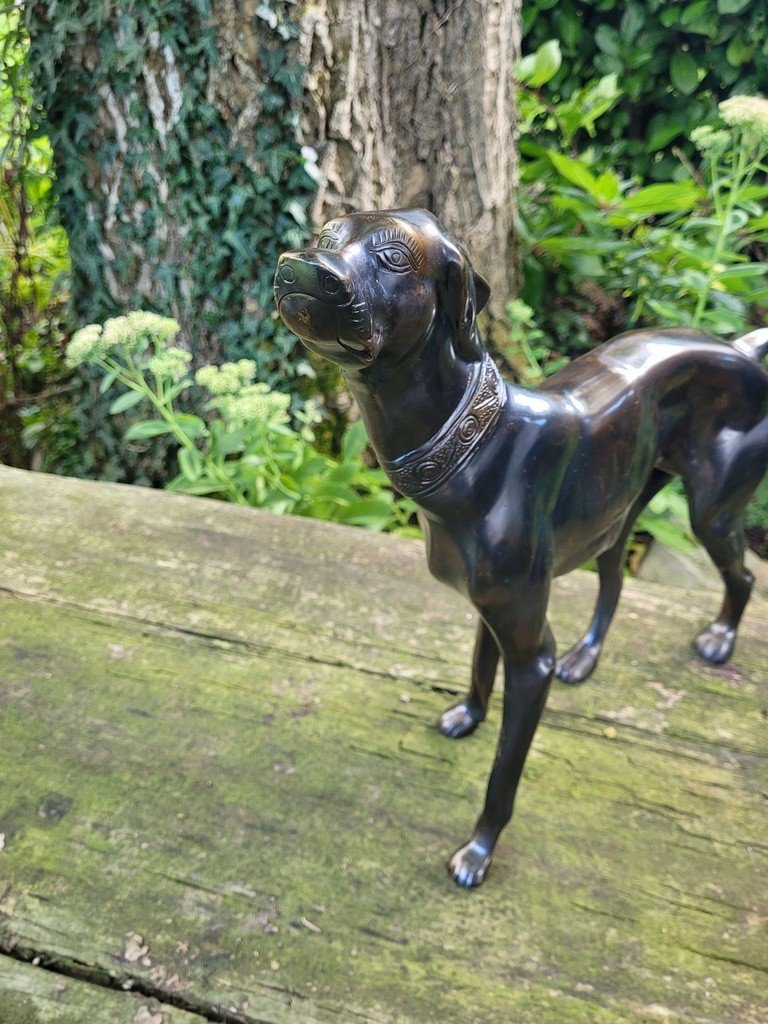  Imposante Sculpture &quot; Chien debout &quot; en Bronze &agrave; Patine brune - 47 cm - XXe Si&egrave;cle-photo-4