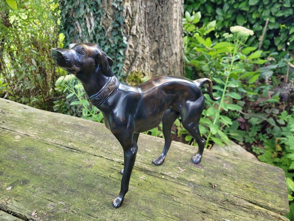  Imposante Sculpture &quot; Chien debout &quot; en Bronze &agrave; Patine brune - 47 cm - XXe Si&egrave;cle