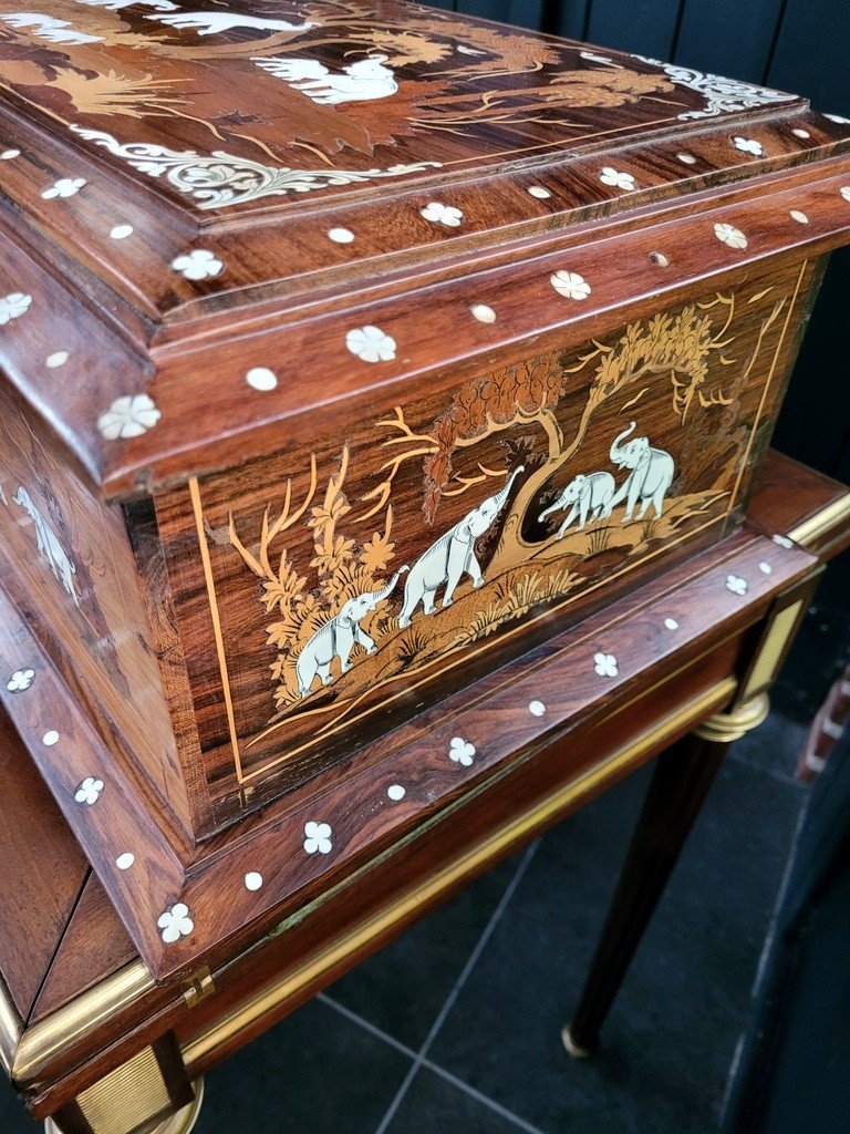  Large Indian Wedding Chest In Rosewood And Marquetry - 19th Century-photo-2