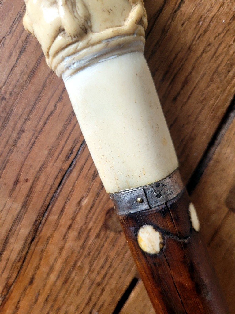 Antique Cane With Carved Knob - 19th Century-photo-3