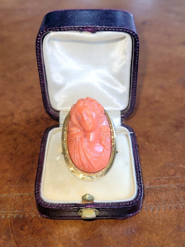  Red Coral Cameo Mounted On A Yellow Gold Brooch - Horse Head Hallmark (1830) -photo-2