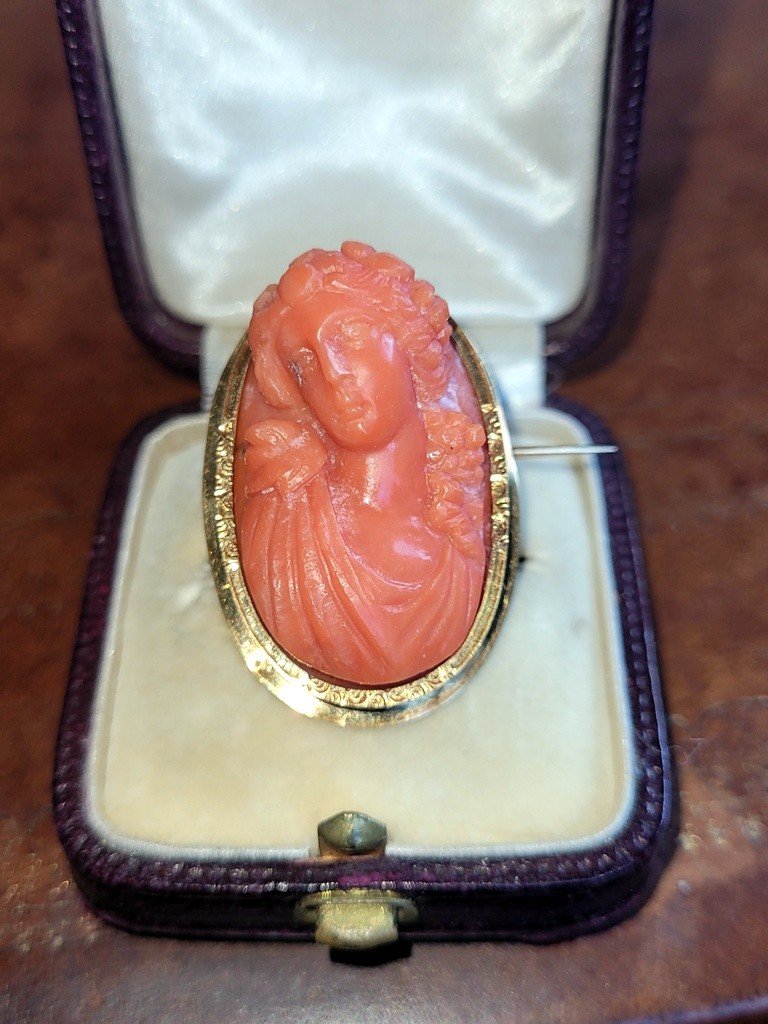  Red Coral Cameo Mounted On A Yellow Gold Brooch - Horse Head Hallmark (1830) -photo-3