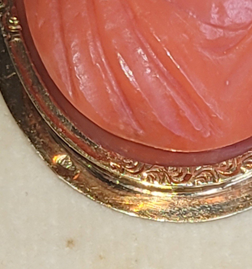  Red Coral Cameo Mounted On A Yellow Gold Brooch - Horse Head Hallmark (1830) -photo-1