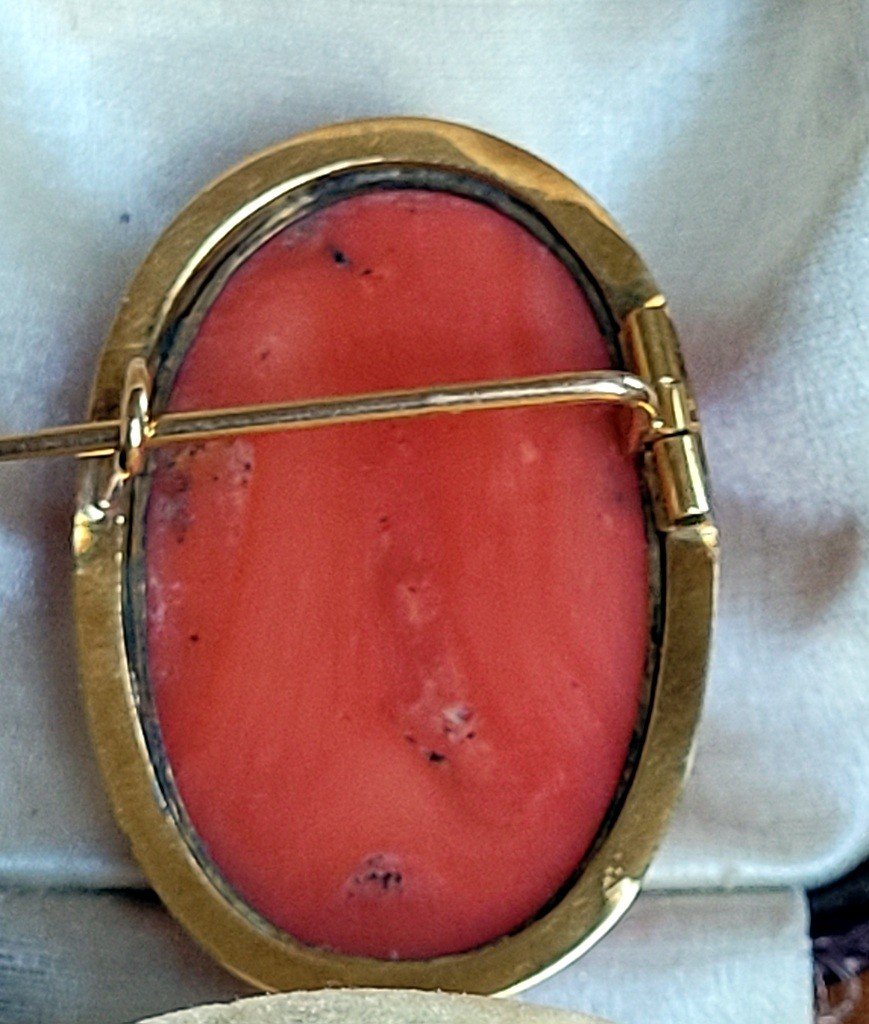  Red Coral Cameo Mounted On A Yellow Gold Brooch - Horse Head Hallmark (1830) -photo-6