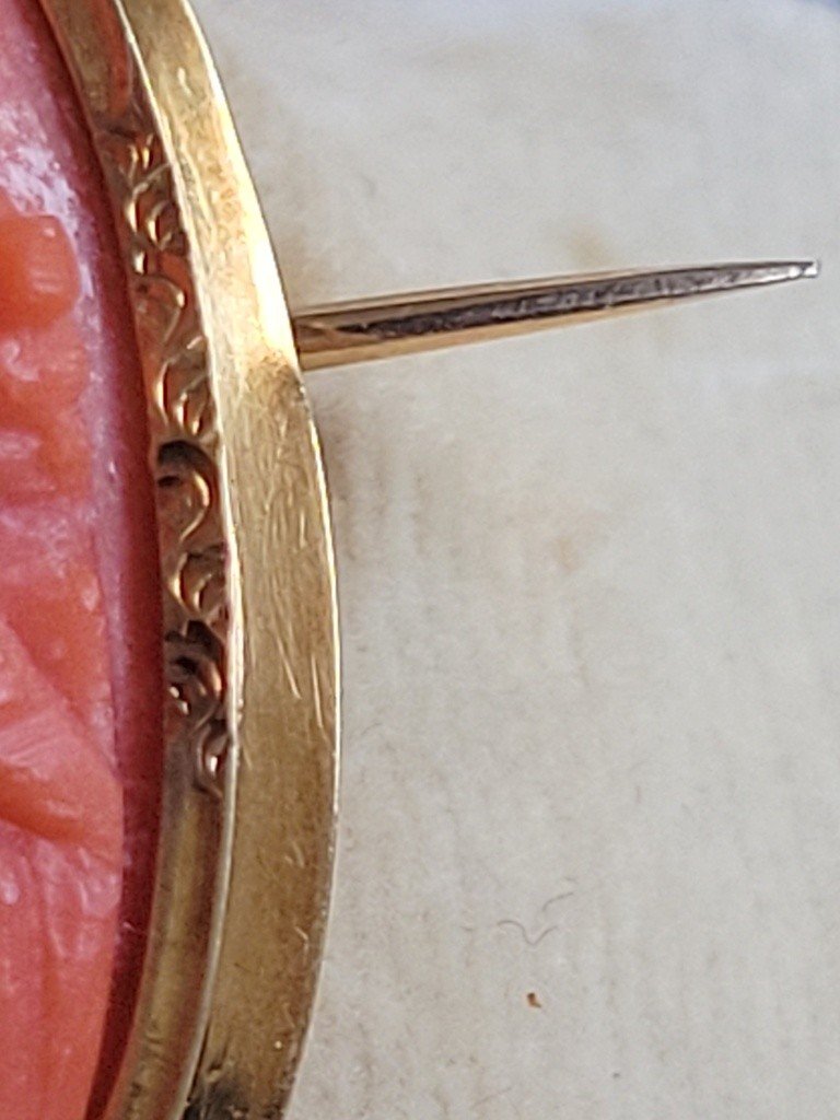  Red Coral Cameo Mounted On A Yellow Gold Brooch - Horse Head Hallmark (1830) -photo-7