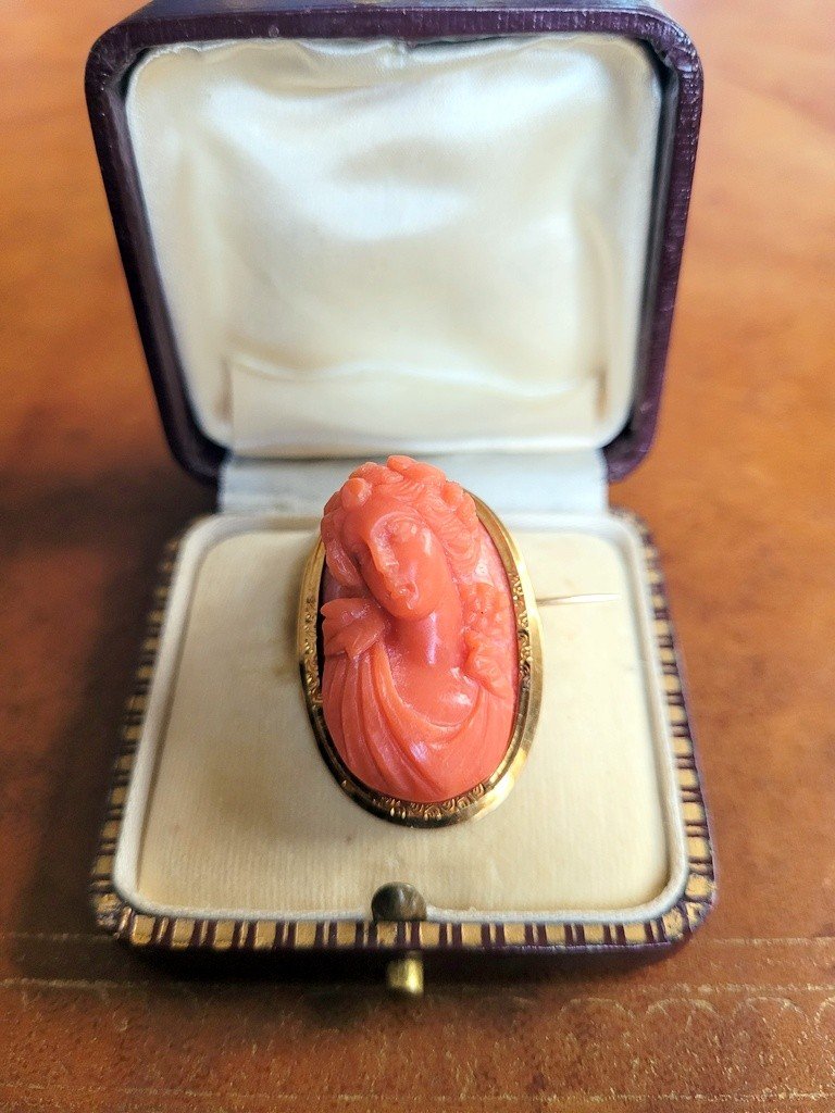  Red Coral Cameo Mounted On A Yellow Gold Brooch - Horse Head Hallmark (1830) 