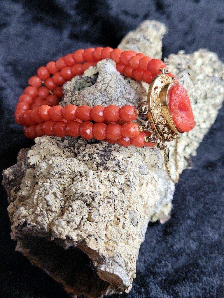 Bracelet &quot; Cam&eacute;e Corail &quot; orn&eacute; de 4 rangs de perles de Corail - Fermoir en OR jaune - Epoque Napol&eacute;on III-photo-4