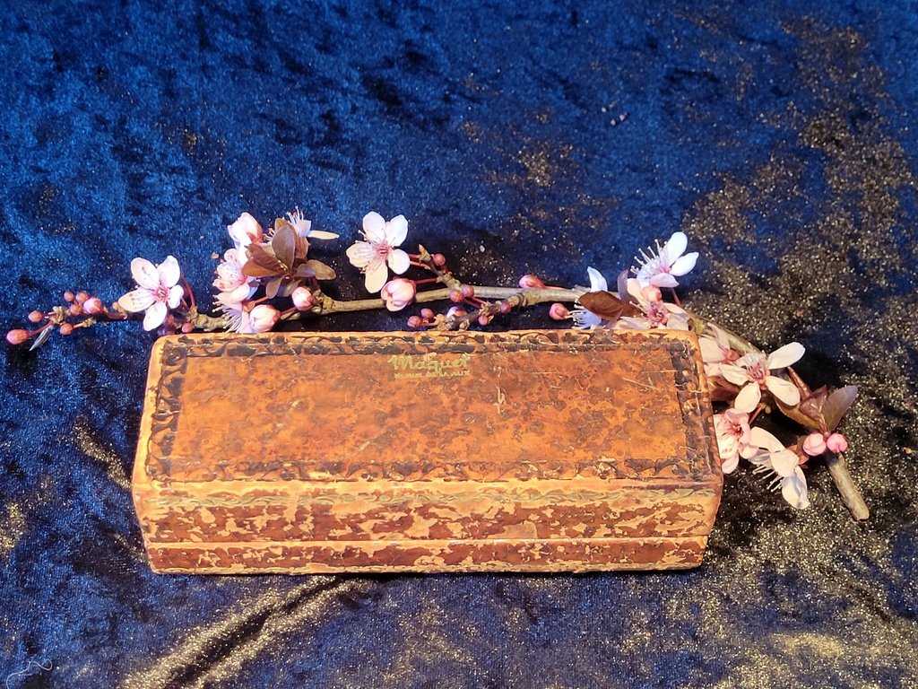 Leather Stamp Box "fake Books" Maison Maquet - Rue De La Paix In Paris  -photo-4